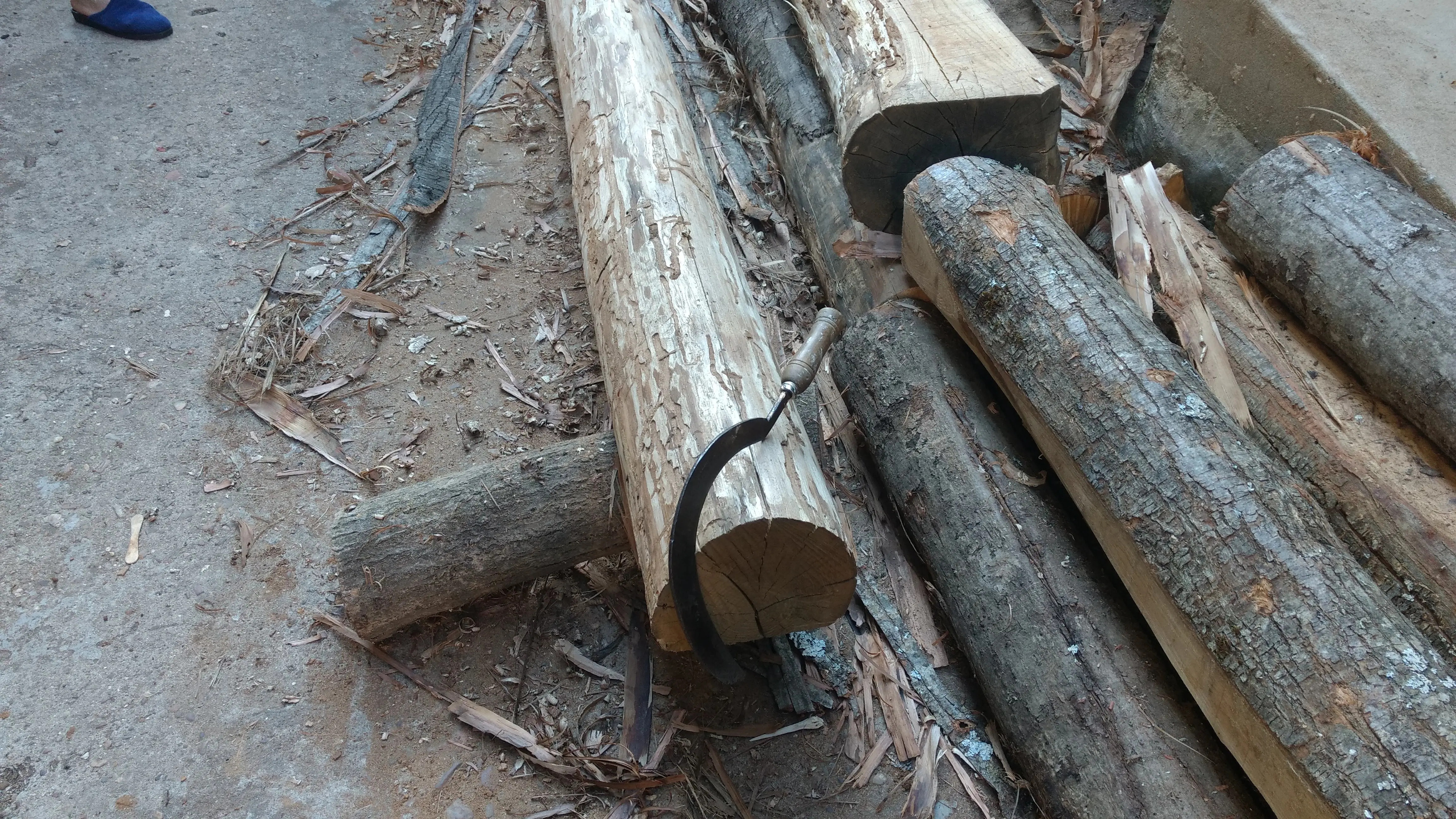 Proyecto Vigas antes 2